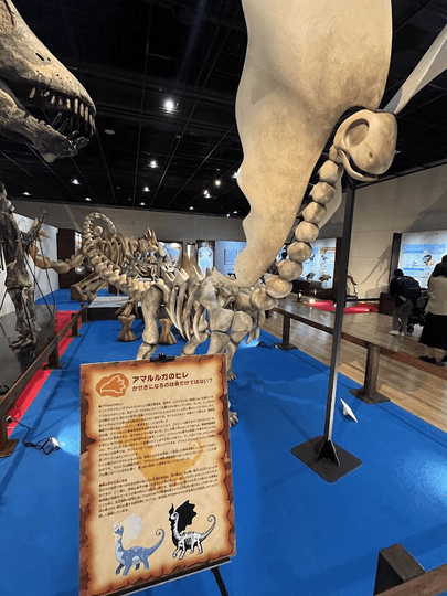 アマルルガ。特徴的なヒレを「骨格模型」としてどう再現するかに、工夫と苦心の跡が見えた