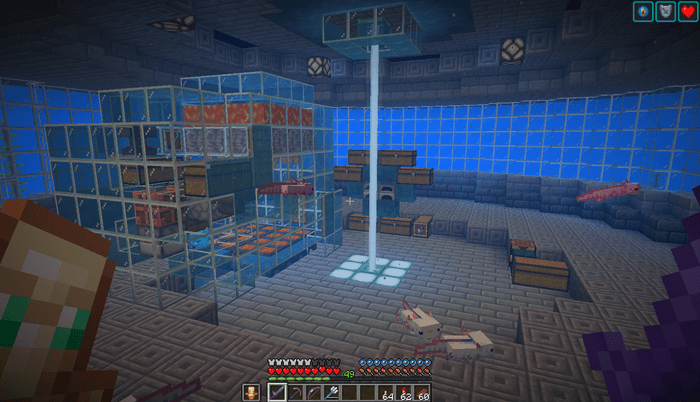 賑やかしにウーパールーパーを入れている