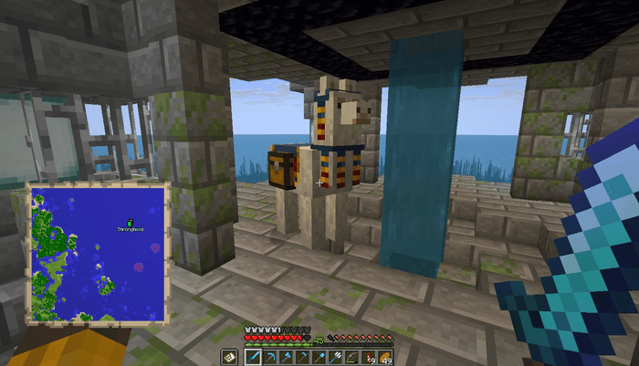 建築中に行商人が置いていったラマ