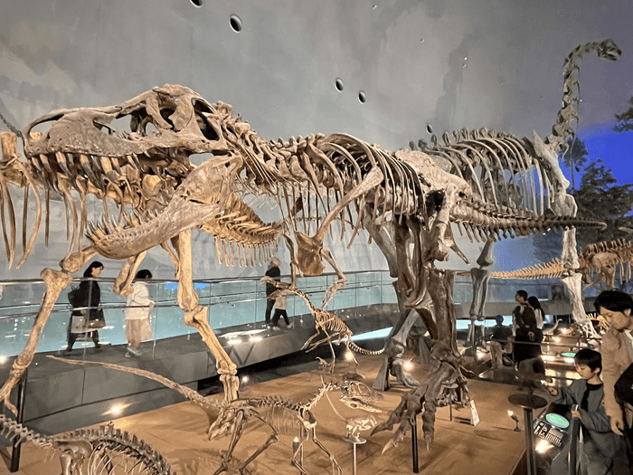 ティラノサウルス