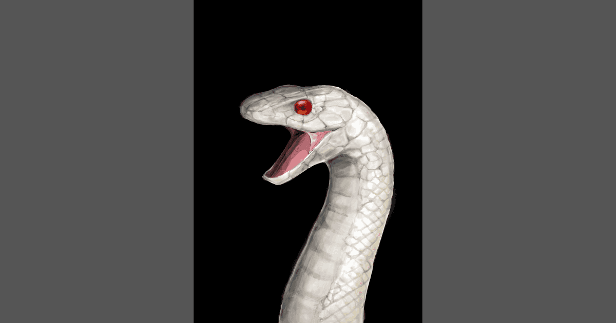 white_snake.png